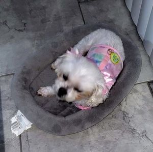 Meet your Posher, Barbara